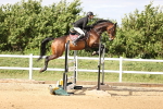 SBM_003631