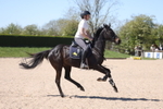 20260425-1384