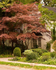 Niagara on the Lake, Canada
