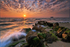 z1342 Sunrise, Bembridge Beach
