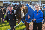 121225-Race 5-Fugitif-5742