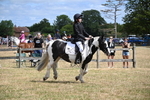 WJ6_5368