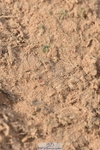 231015A-143824-08759