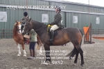 CLASS 2 Novice Working Hunter (0.60m - 0.70m) portfolio