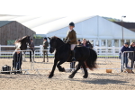 SBM_08885