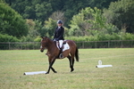 WJ6_5689