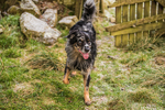 Clough Head-803