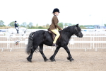 SBM_02418