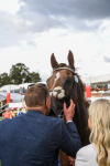 260823-Race 5-Albasheer-1224
