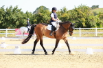 SBM_009612