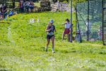 The Finish-593