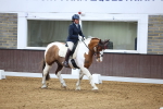 SBM_007158