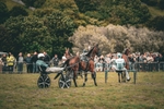 DSCF7150