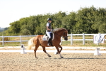 SBM_007728