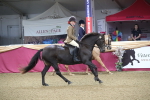 SBM_09277