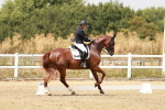 SBM_003586