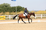 SBM_004290