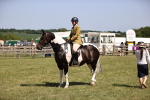 SBM_17893