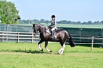SBM_12234
