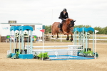 SBM_017308