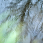 19th March Traces