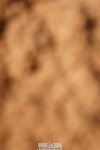 240526A-085948-06951