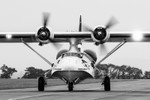 Catalina portfolio
