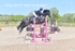 BPP_6513