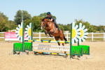 SBM_006815