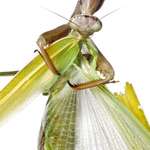 ITA_PHD_20111106-029