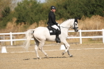SBM_008500