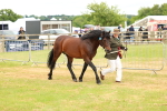 SBM_04307