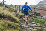 Langdale -1494