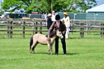 SBM_03572