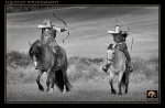 equiscot 1708