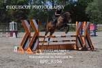 BPP_8196