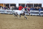 SBM_003920