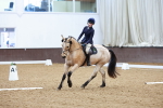 SBM_001571