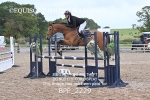BPP_2229
