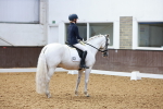SBM_008952