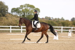 SBM_009568