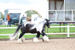 SBM_00246