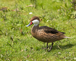 20140419-3K8A0435