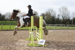 Unaffiliated Show Jumping portfolio