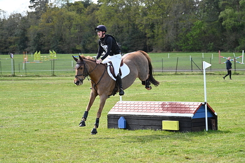 80cm XC