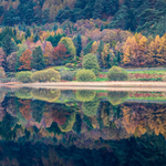 Lower Lake Reflections, Glendalough, Wicklow