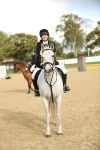 J31 - Senior Horse & Pony 75cm Championship portfolio