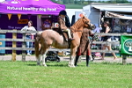 SBM_05852