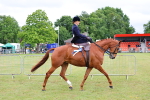 SBM_02906