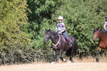 WJ6_7915